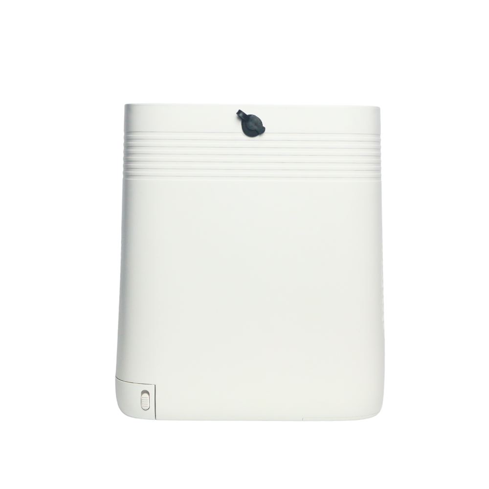 Small 1-5L Adjustable Continuous Flow Portable Oxygen Concentrator With 2.5 Hours Battery For Travel Use 1001S