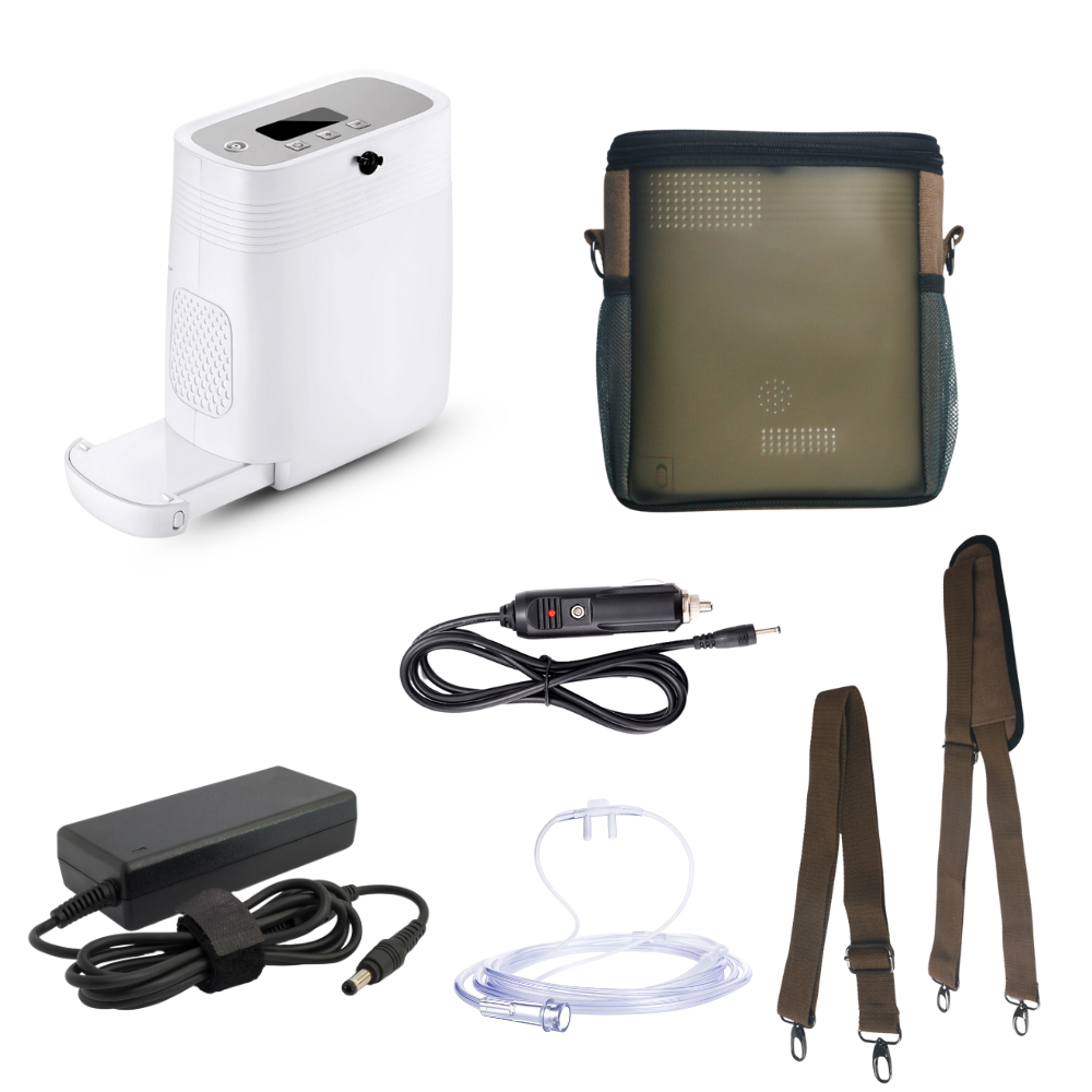 Small 5L Portable Long-time Working Battery Oxygen Concentrator Continuous Flow 24/7 Low Noise 1001S