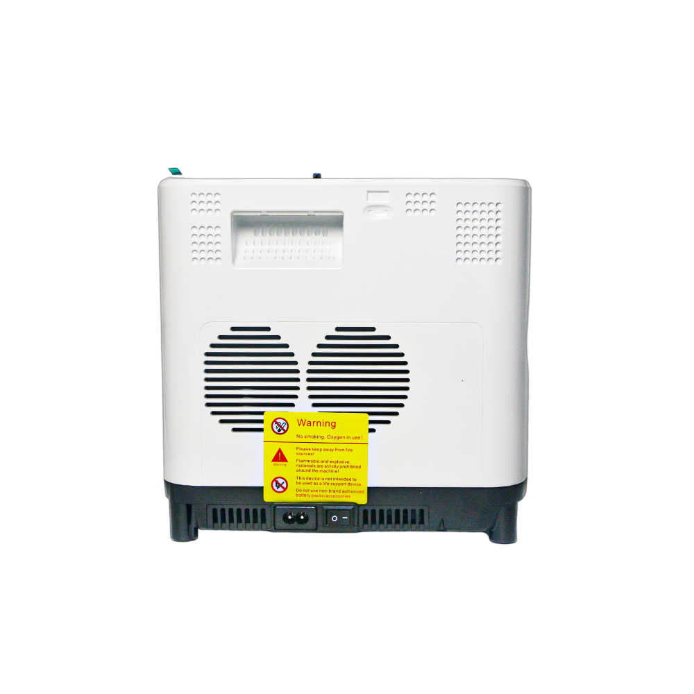 6L Adjustable Continuous Flow Oxygen Concentrator | Sleeping Use Oxygen ...