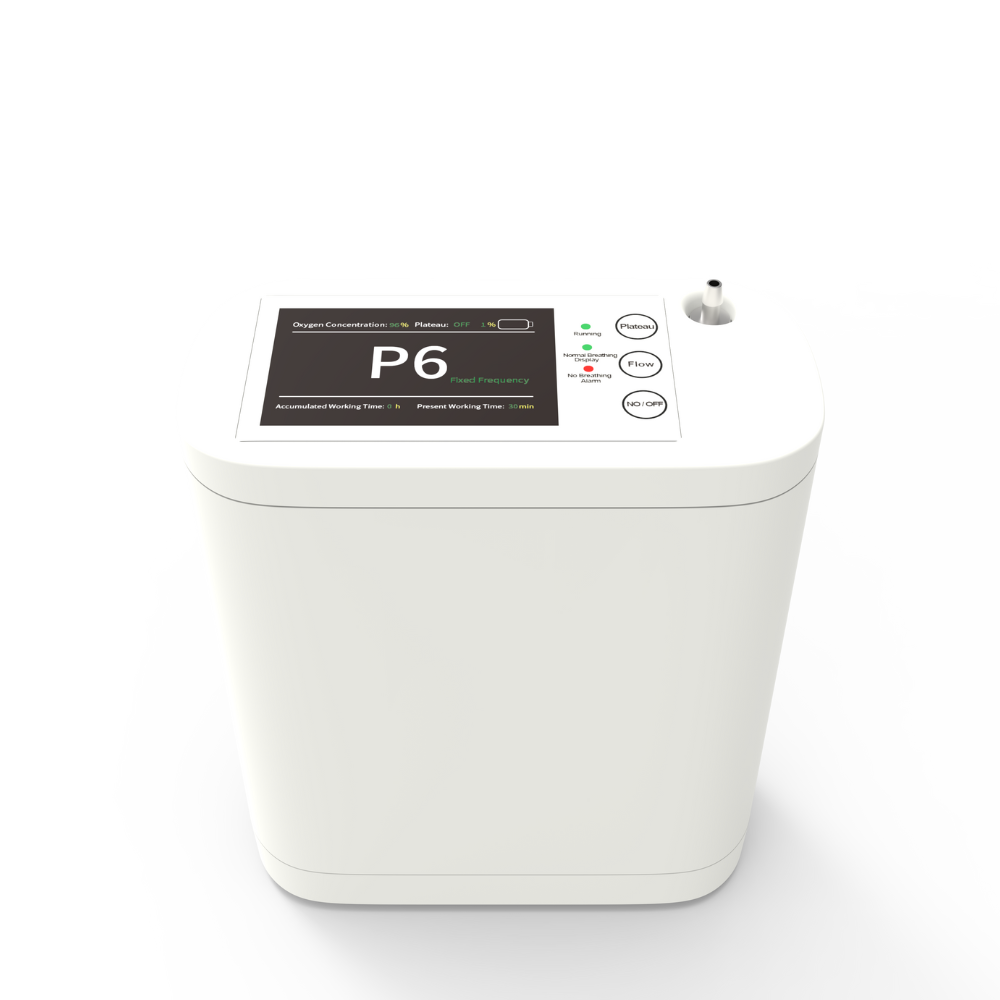 Small 8L Portable Battery Oxygen Concentrator Two Flow Modes Low Noise Work All Night Continuously POC-08